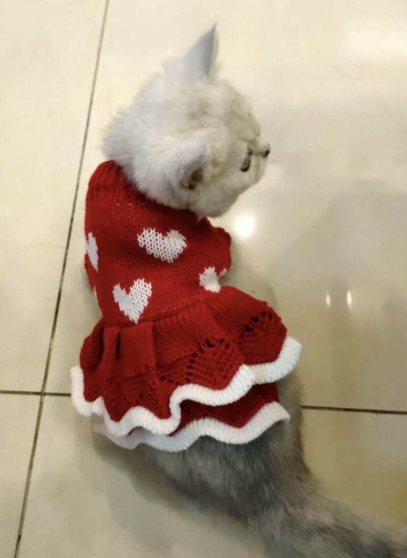 Princess Dress New Year Festive Warm Sweater Dog Christmas